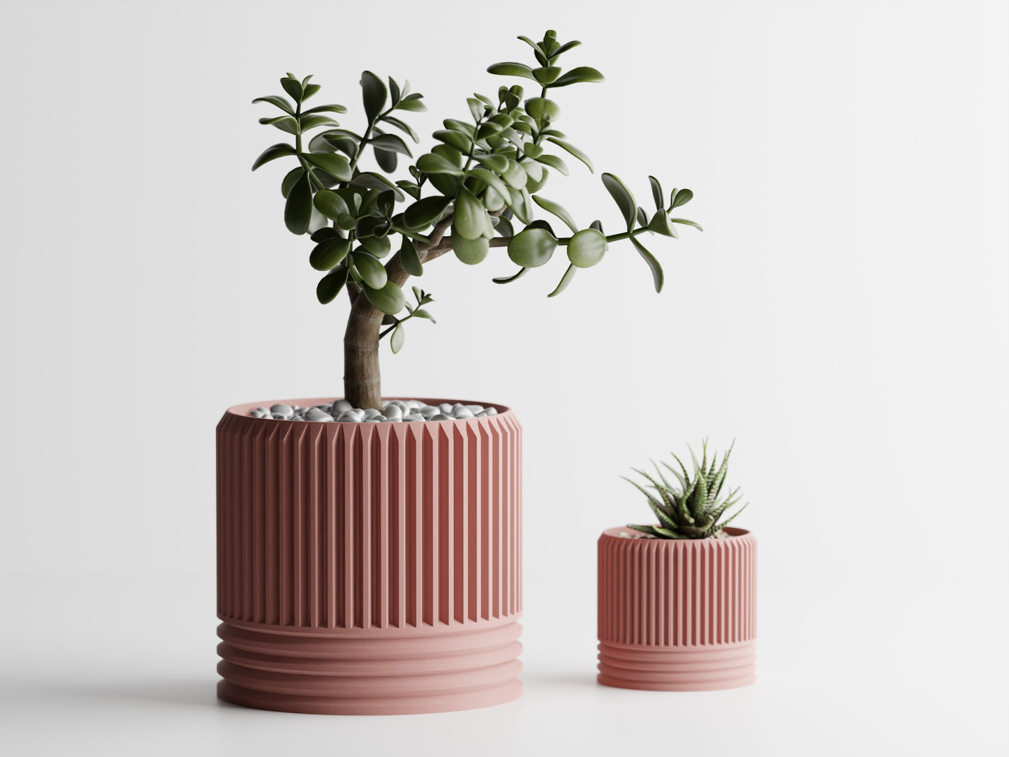 Dualis Planter