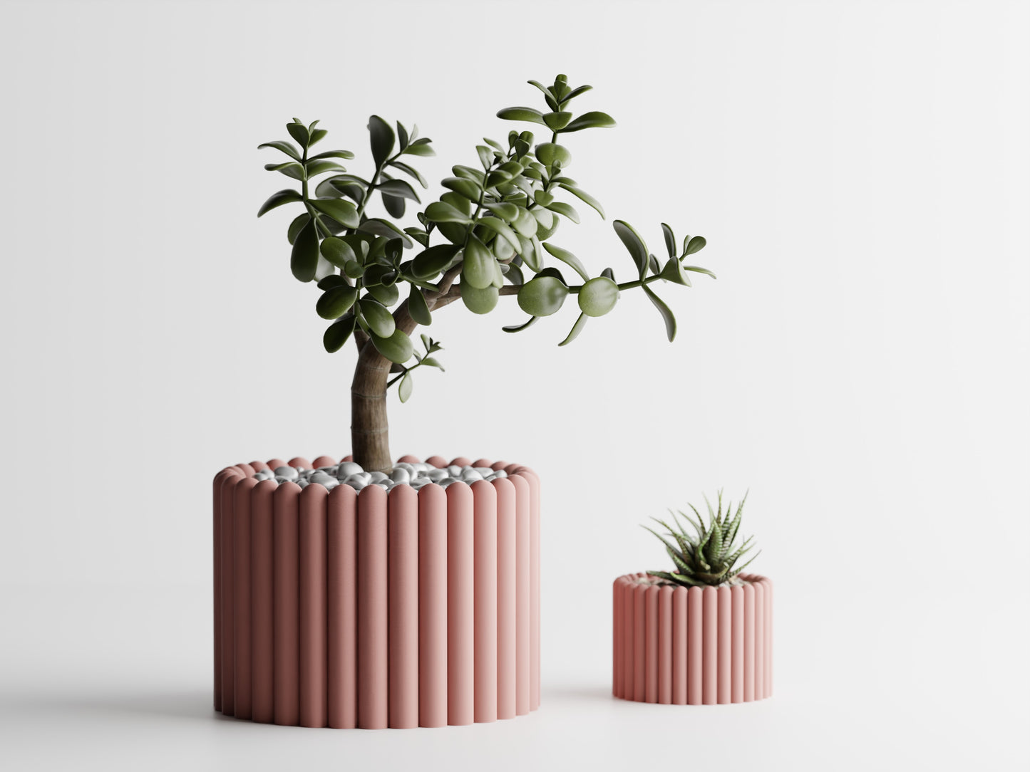 Fascis Planter