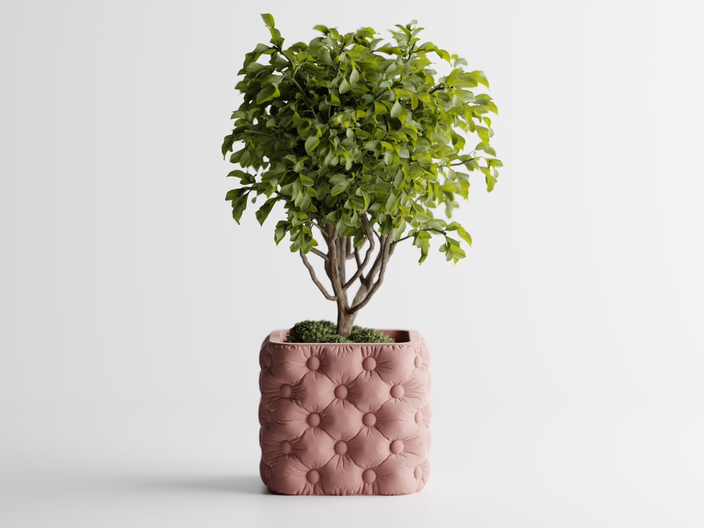 Luxterra Planter