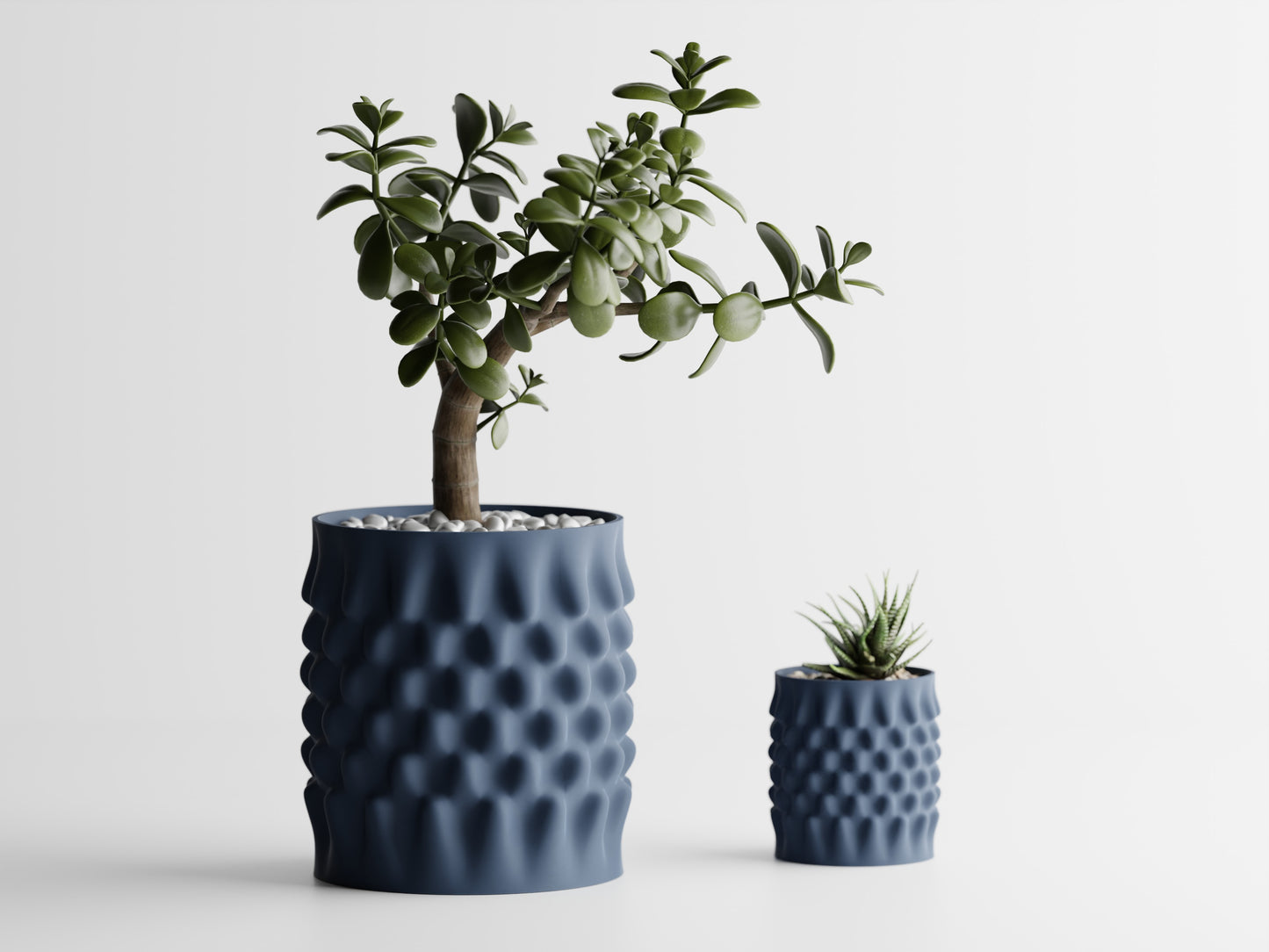 Dentata Planter