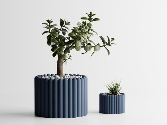 Fascis Planter