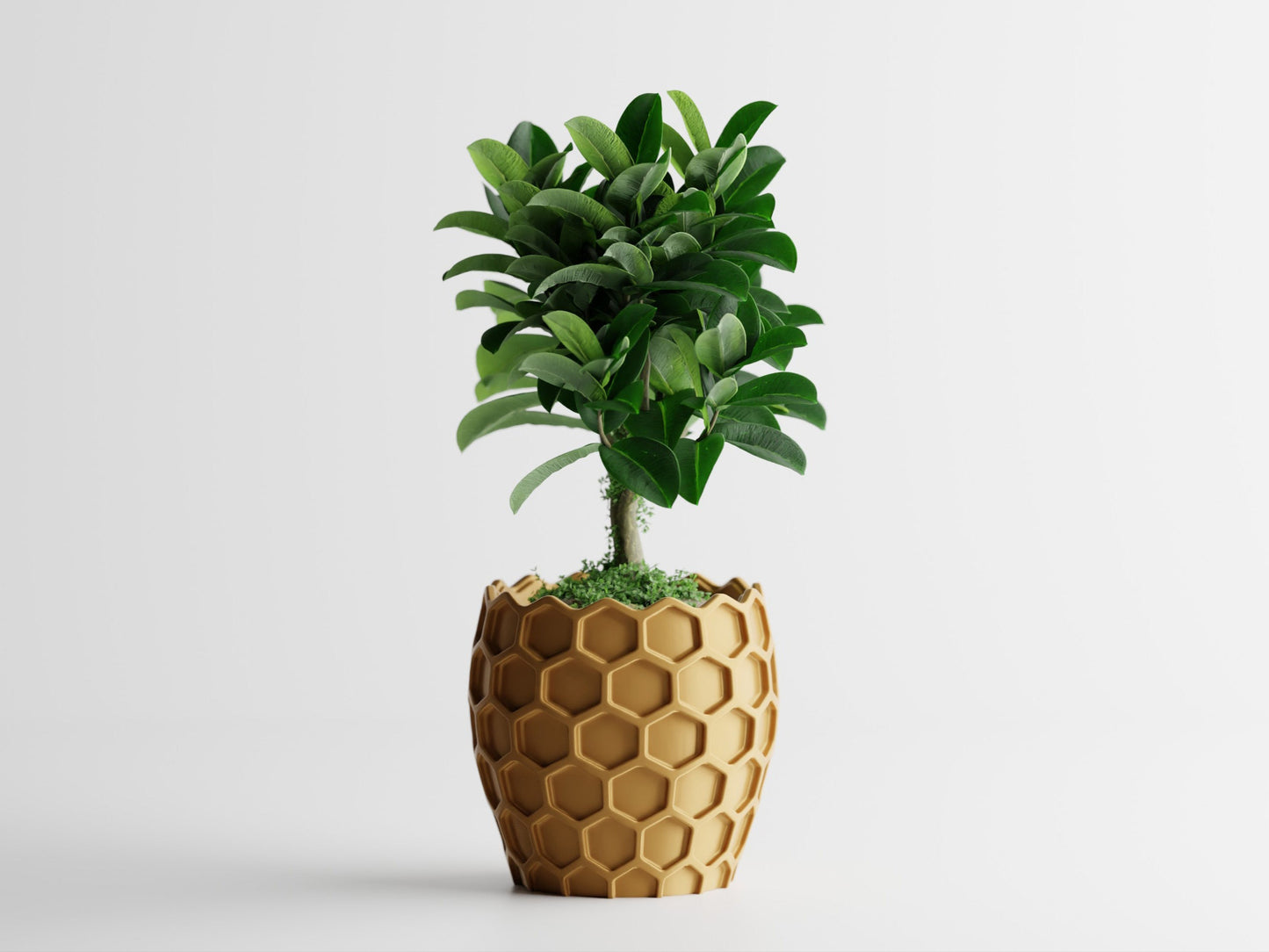 Bienen Planter