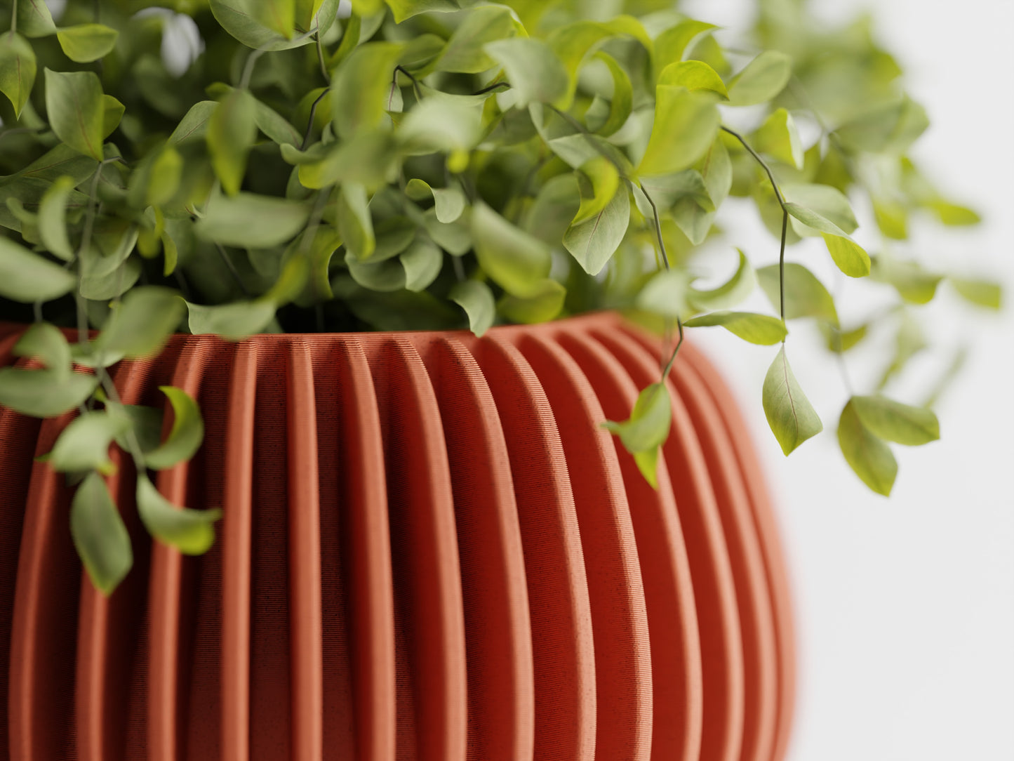 Verdanova Vase