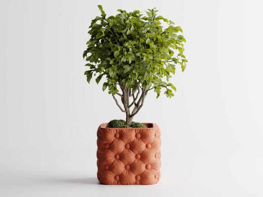 Luxterra Planter